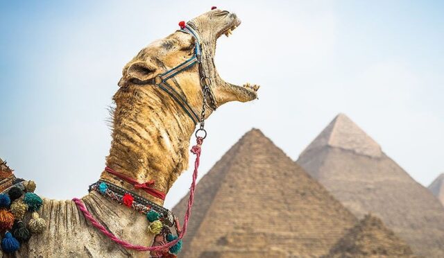 Положительные и отрицательные стороны Египта: собрались на отдых? 1 Египет