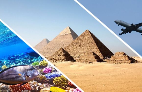 Положительные и отрицательные стороны Египта: собрались на отдых?