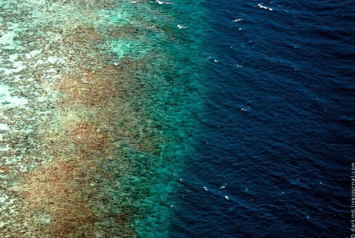 Мальдивские острова с высоты птичьего полета (33 фото)27