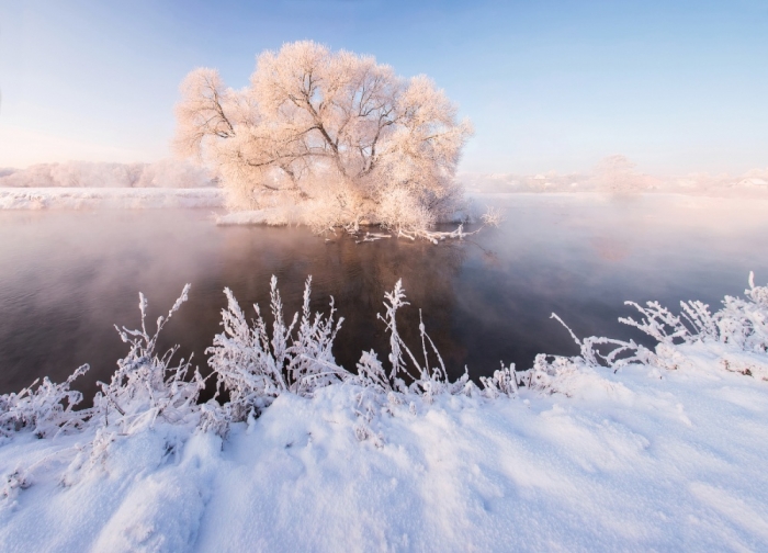 Зимняя красота природы