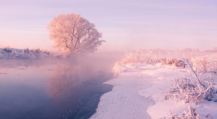 Зимние белоснежные пейзажи: завораживающие фото Алексея Углальникова