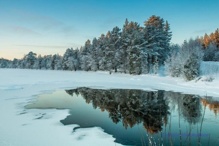 Зима в Карелии - удивительный мир! 6