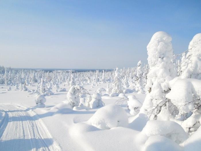 Зима в Карелии - удивительный мир! 16 Карелия
