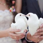 10 современных мифов о браке 2 отношения