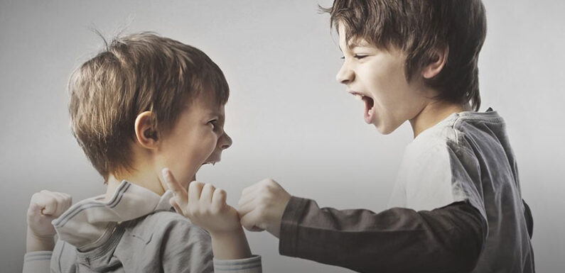 Основные причины детской и подростковой агрессии: кто виноват и что делать?
