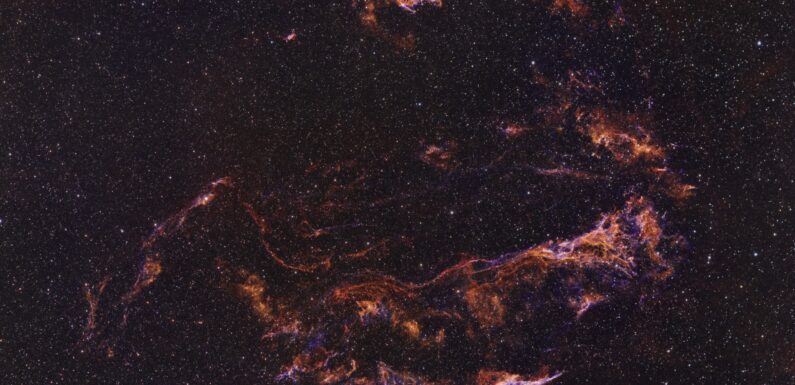Остаток сверхновой в созвездии Лебедя (Вуаль)