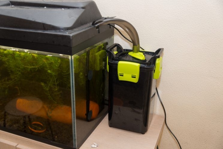 Как подобрать и правильно установить фильтр в аквариум 2