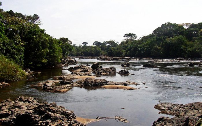 Невероятная природа Конго: "живые" фото из Африки 8