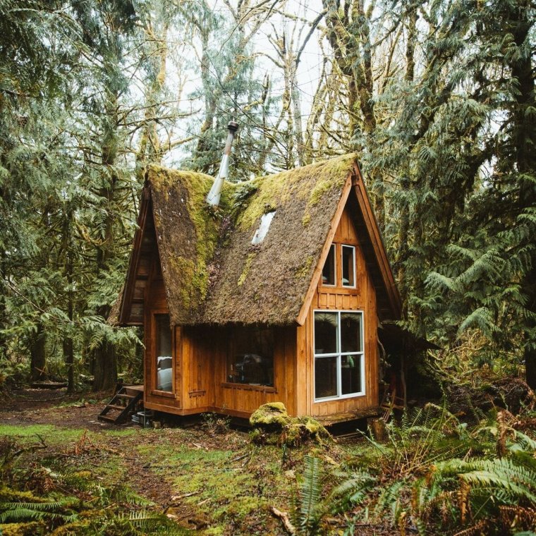 Красивые домики в лесу (14 Фото) 9 домик в лесу