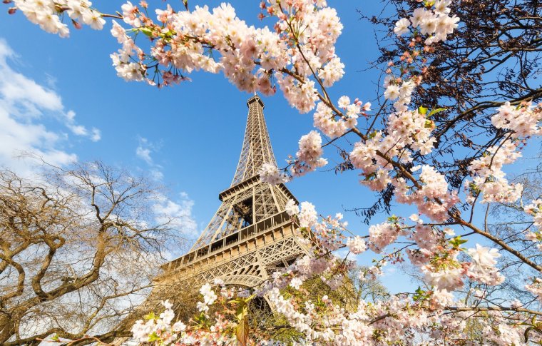 Весна в Париже или фото Эйфелевой башни с разных ракурсов 7
