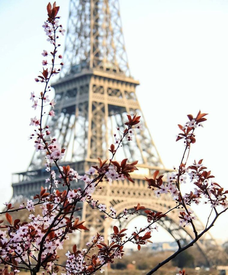 Весна в Париже или фото Эйфелевой башни с разных ракурсов 8