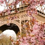 Весна в Париже или фото Эйфелевой башни с разных ракурсов 2 горячие фото Александры Даддарио