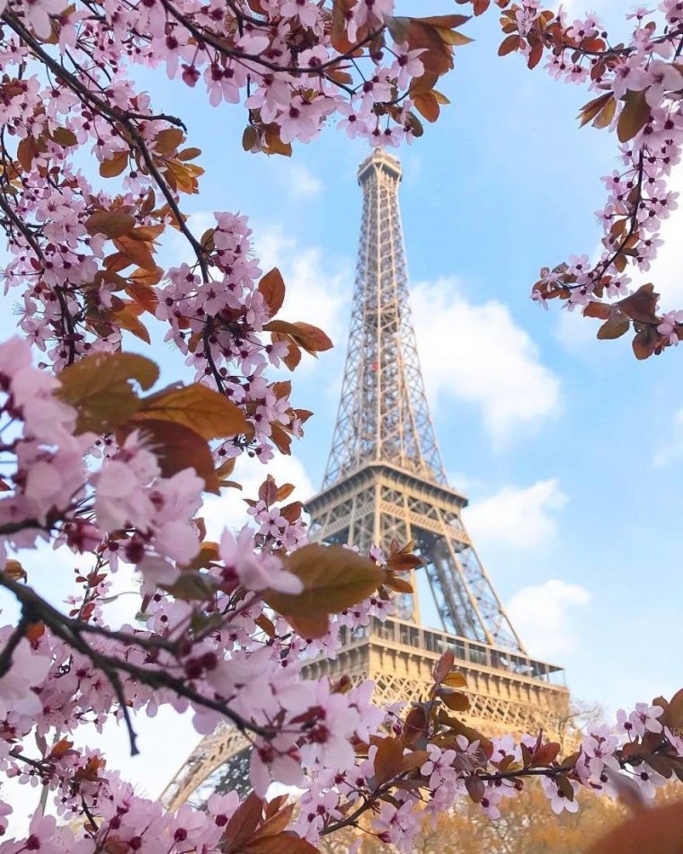 Весна в Париже или фото Эйфелевой башни с разных ракурсов 12