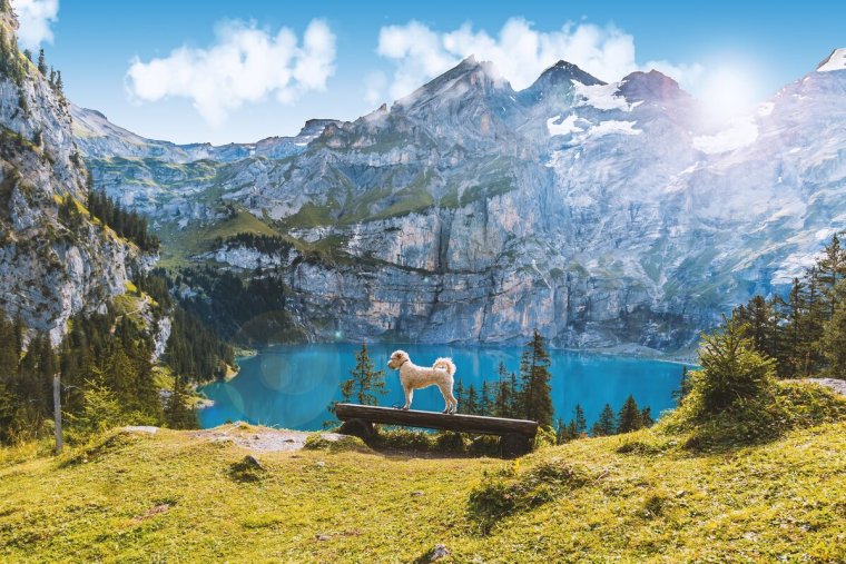 Озера в Швейцарских Альпах: красота (15 Фото) 4