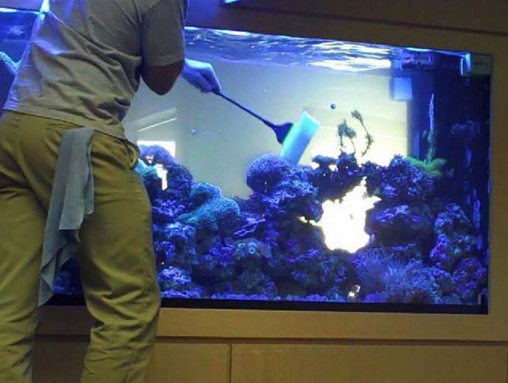 Как помыть аквариум: простые но важные рекомендации 2 аквариум