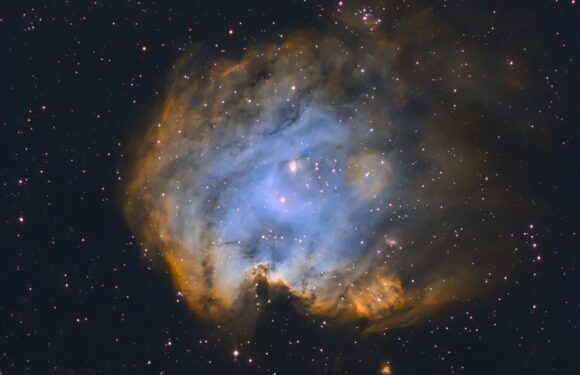Туманность голова обезьяны в палитре Хаббла (NGC 2174)