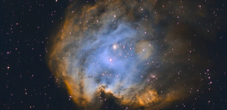 Туманность голова обезьяны в палитре Хаббла (NGC 2174)