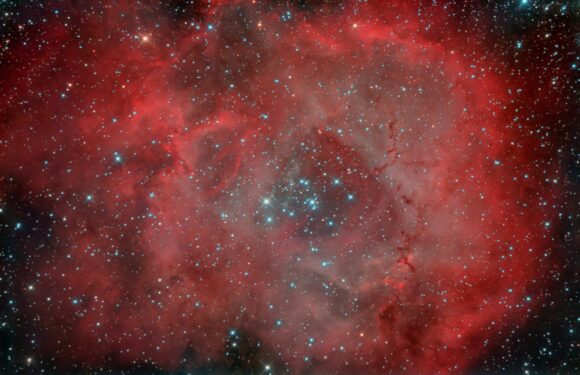 Эмиссионная туманность NGC 2237 «Розетка» (Фото)