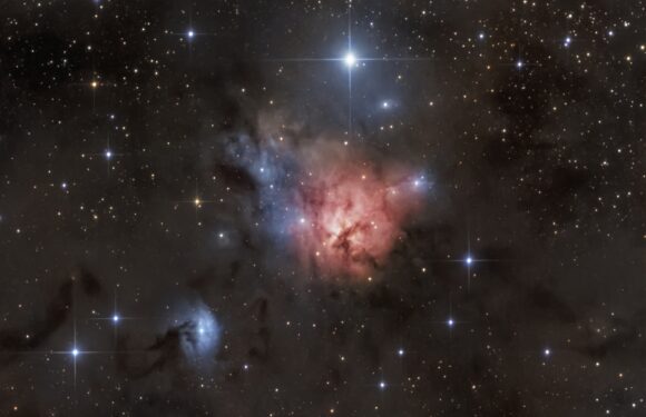 Северная Трехраздельная туманность NGC 1579 (Фото)