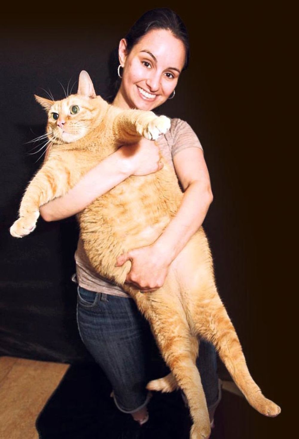 Фото толстых котов: жирные пушистики (18 Фото) 8