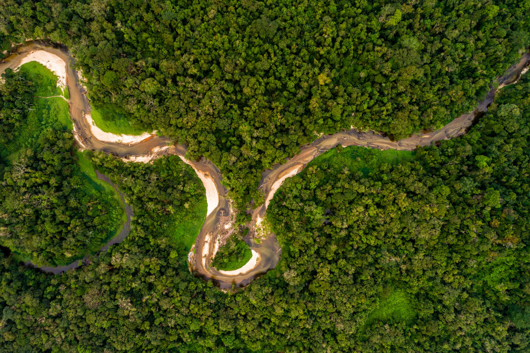 Дикая природа Амазонки (19 Фото): чарующие кадры 7