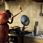 Как избавиться от тараканов: самые действенные методы 17 Holly Luyah