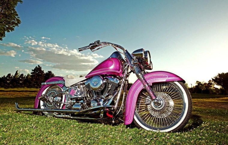 Розовые мотоциклы: гламурней некуда (38 ФОТО) 31 Розовые мотоциклы