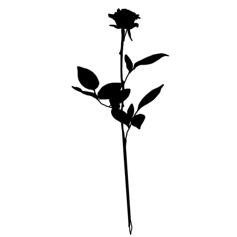 Эскиз тату черная роза (46 фото)22