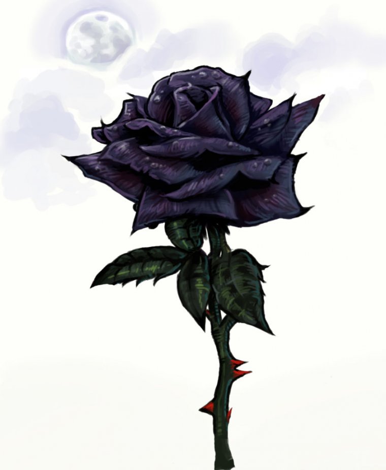 Эскиз тату черная роза (46 фото)6