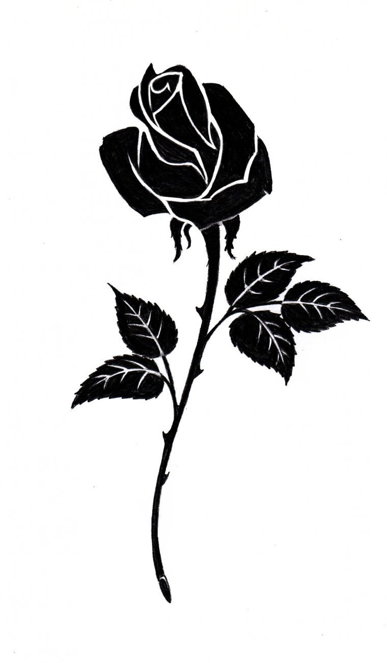 Эскиз тату черная роза (46 фото)43