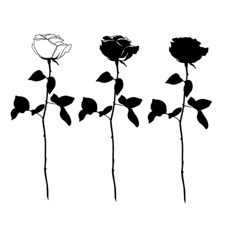 Эскиз тату черная роза (46 фото)37