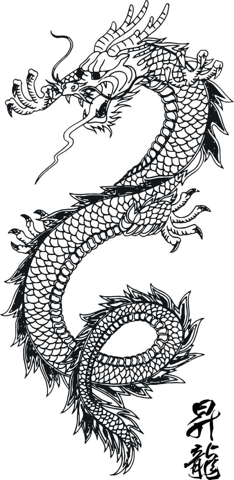 Эскизы тату китайский дракон (37 фото)34