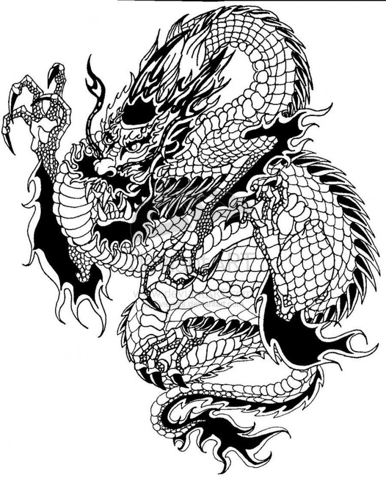 Эскизы тату китайский дракон (37 фото)7