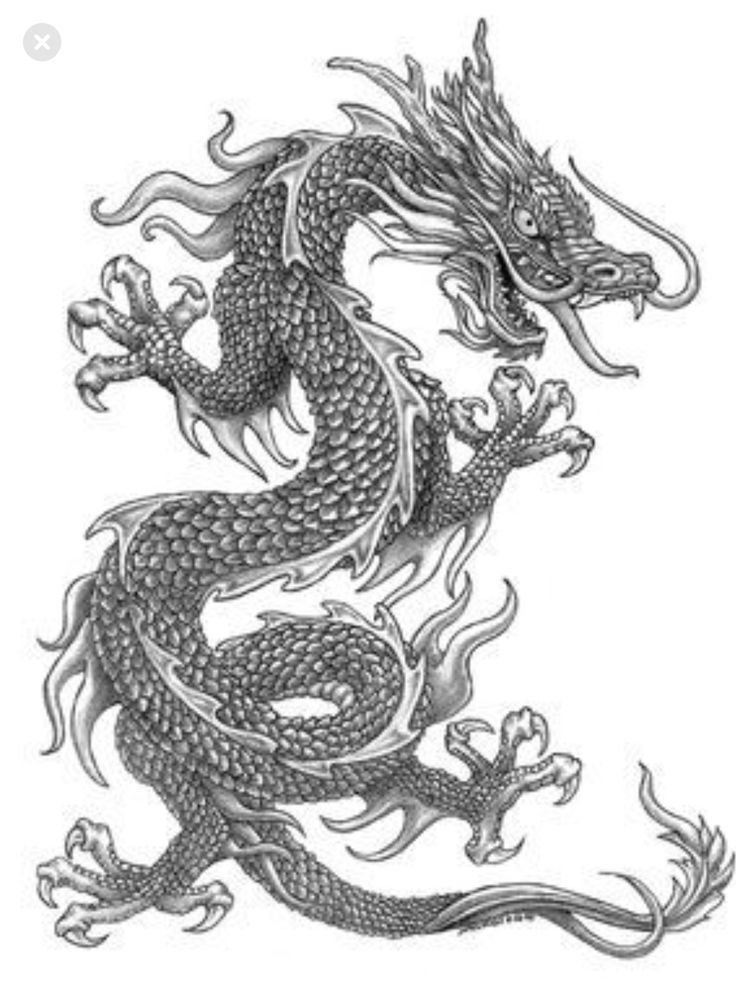 Эскизы тату китайский дракон (37 фото)3