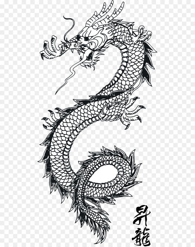 Эскизы тату китайский дракон (37 фото)21