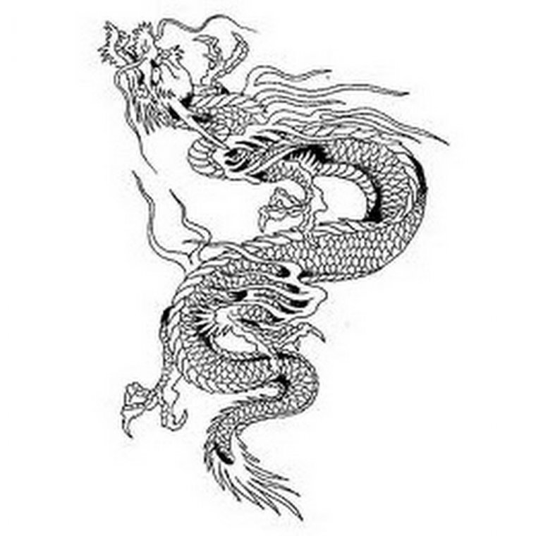 Эскизы тату китайский дракон (37 фото)29