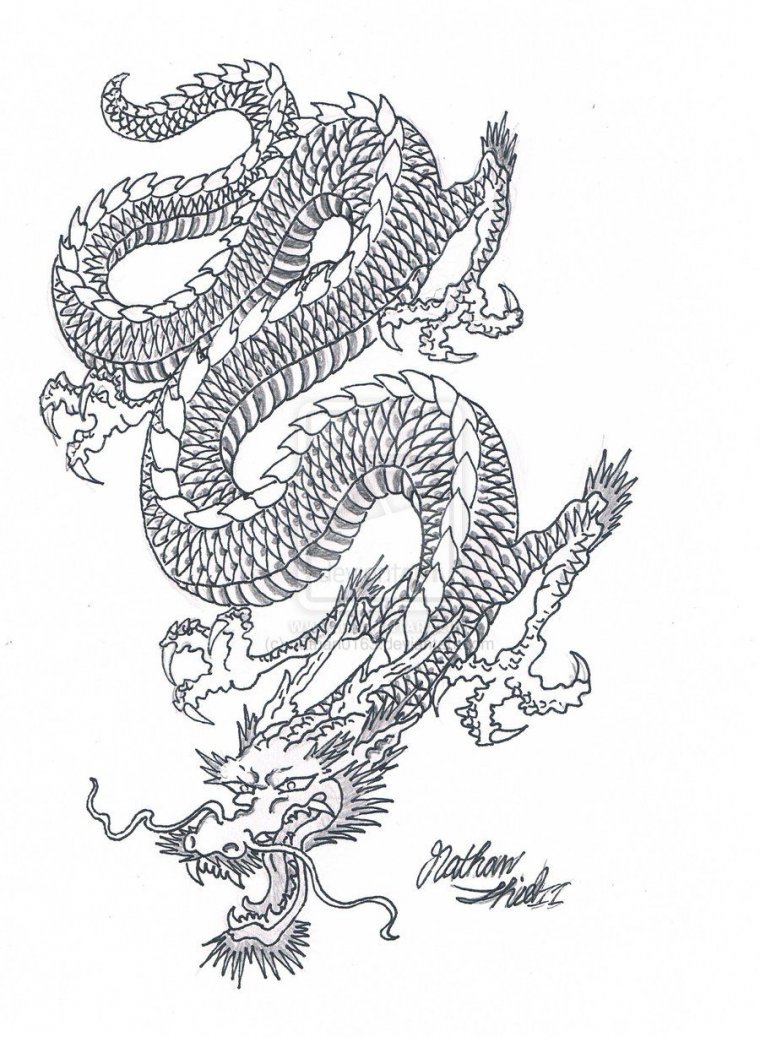 Эскизы тату китайский дракон (37 фото)16