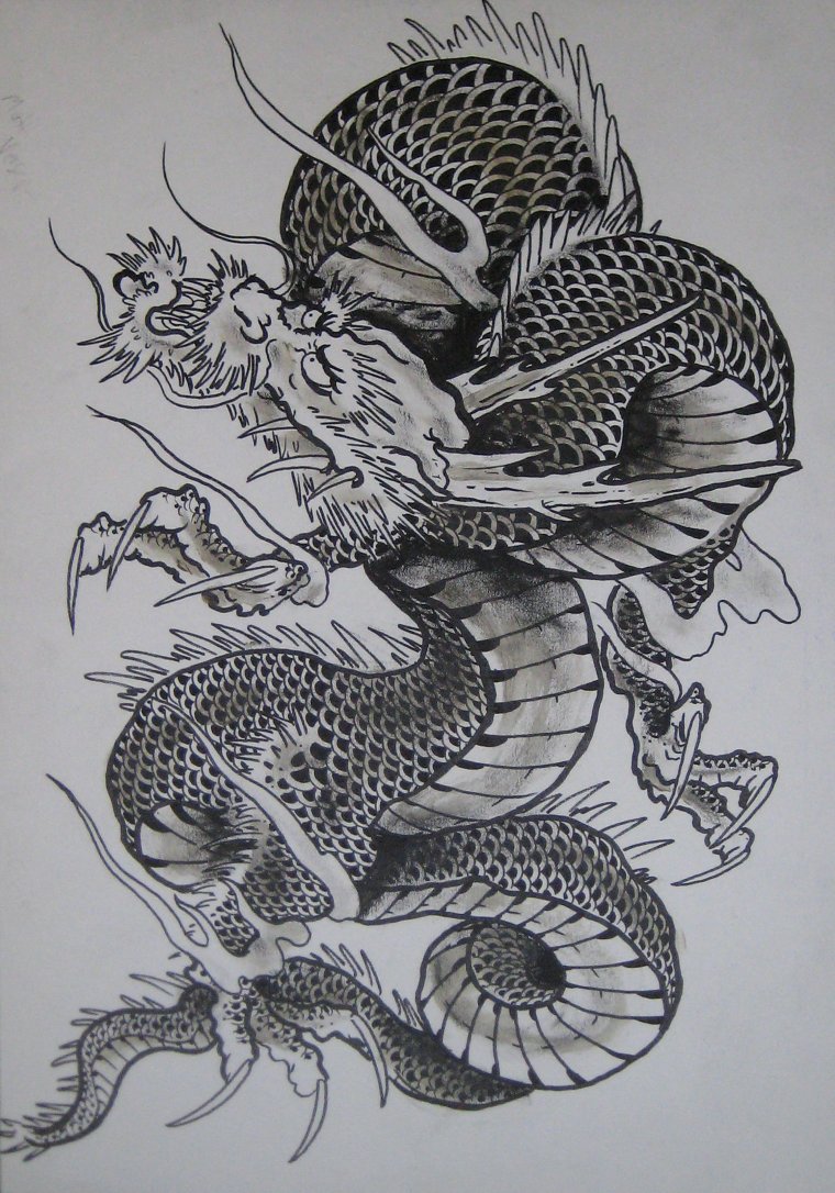 Эскизы тату китайский дракон (37 фото)4