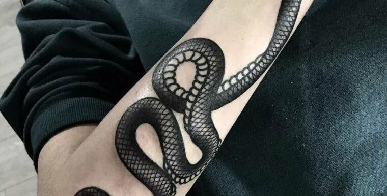 🖤 Татуировки – змея обвивающая руку (47 фото)
