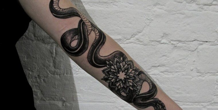 🖤 Женские татуировки змеи на руке: подборочка (32 фото)