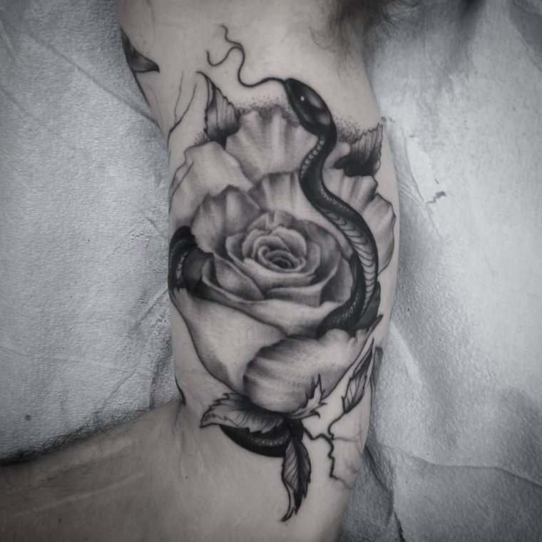 Тату роза со змеей (48 фото)7