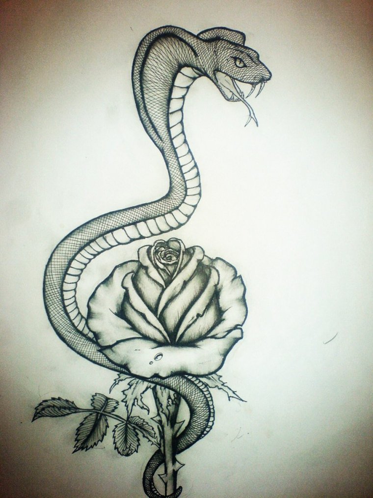 Тату роза со змеей (48 фото)37
