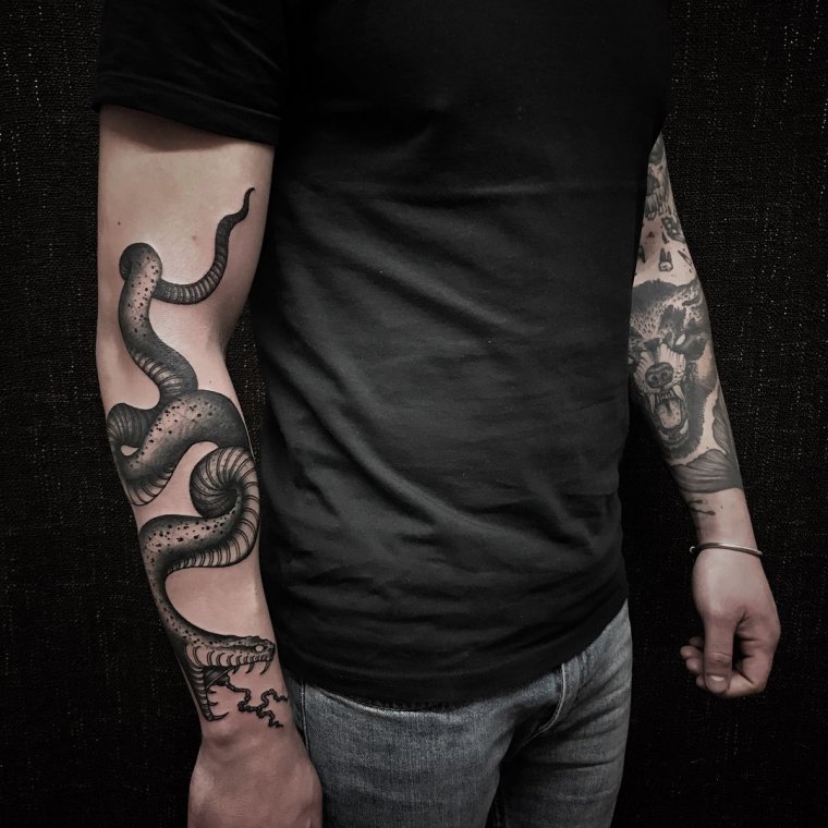 Татуировка змея вокруг руки (48 фото)28