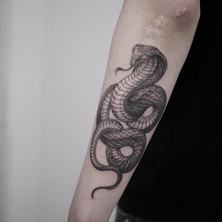 Татуировка змея вокруг руки (48 фото)31