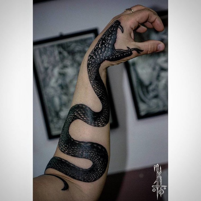 Татуировка змея вокруг руки (48 фото)16