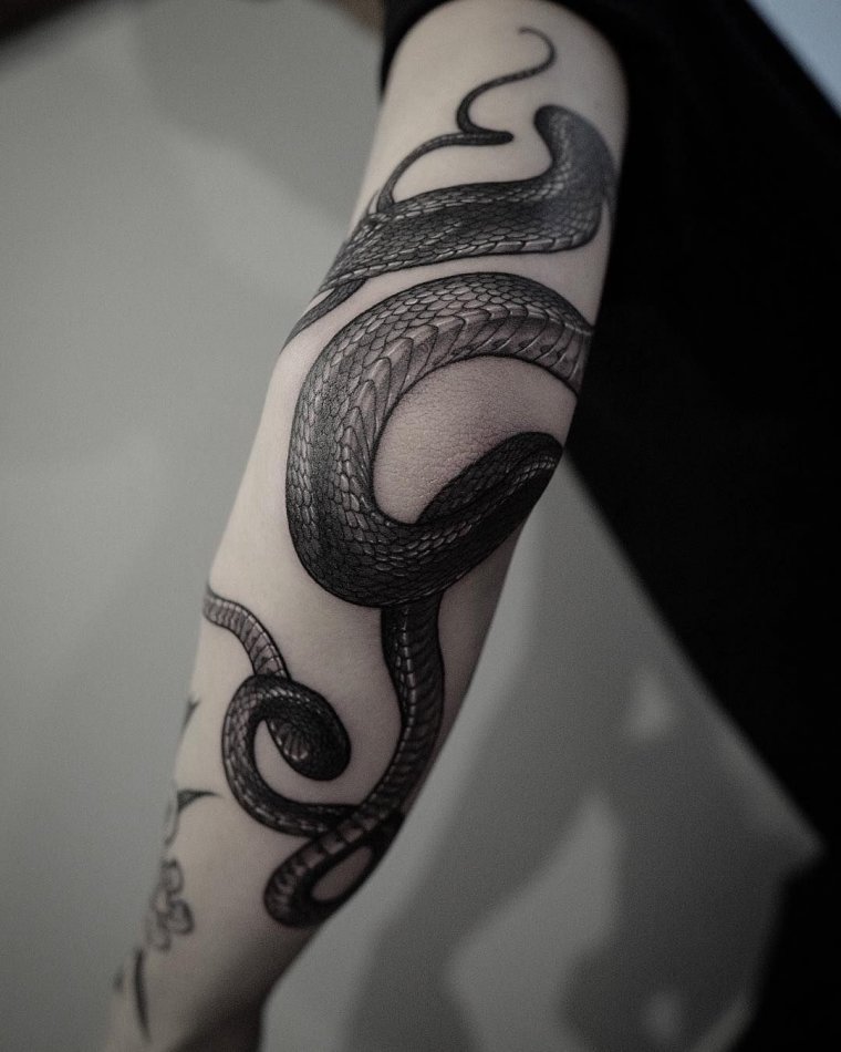 Татуировка змея вокруг руки (48 фото)44