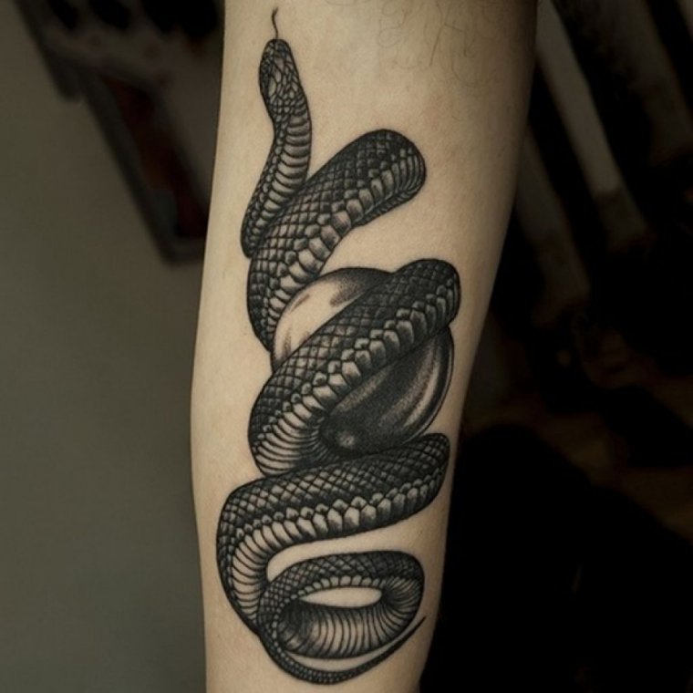 Татуировка змея вокруг руки (48 фото)20