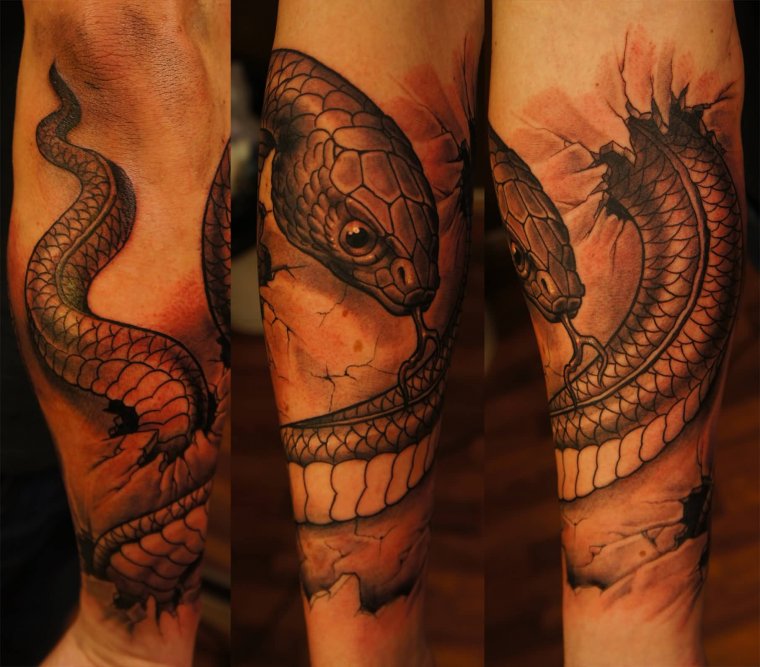 Татуировка змея вокруг руки (48 фото)2