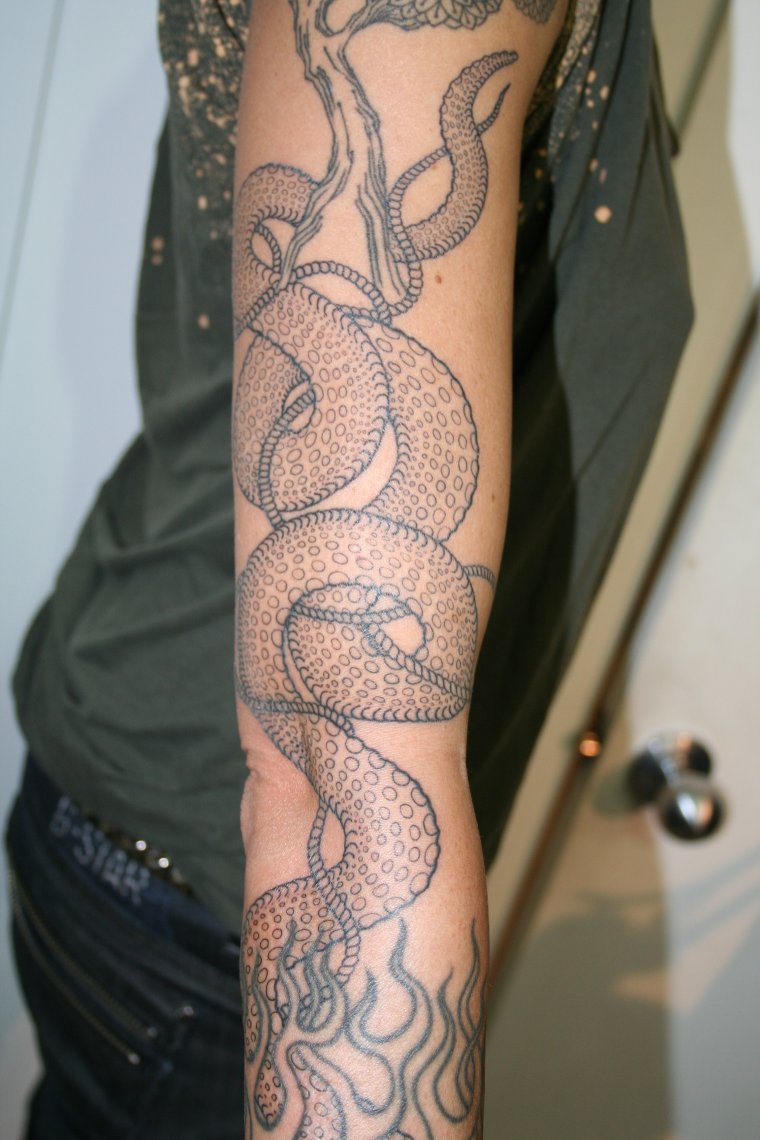 Татуировка змея вокруг руки (48 фото)45