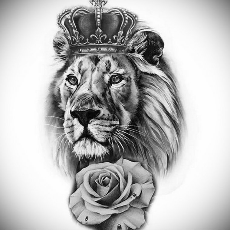 Тату лев с короной для девушек (49 фото)46